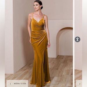 Revelry Velvet Dress